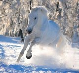 Сегодня число моих друзей ВКонтакте перевалило за тысячу!