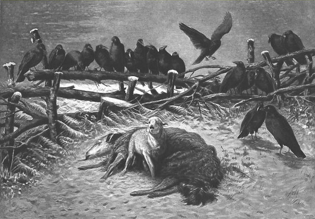 Наши заблуждения и истина. - «Главный враг знания не невежество, а иллюзия знания»" Стивен Хокинг