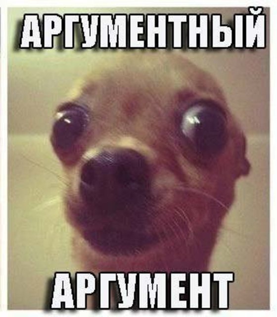 "ЖЕЛЕЗНЫЕ" АРГУМЕНТЫ СТОРОННИКОВ ПРЕЗИДЕНТА