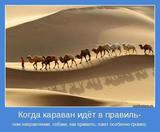 Учкудук, три колодца....
